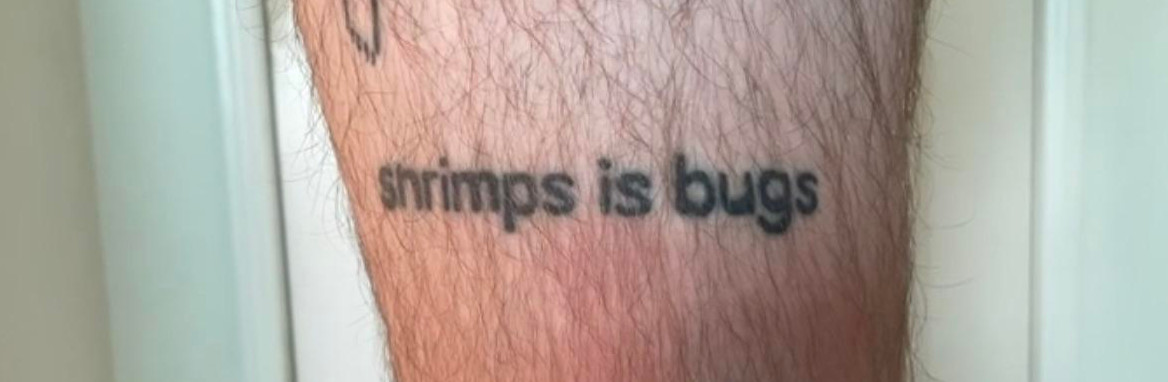 A simple tattoo that says "shrimps is bugs"